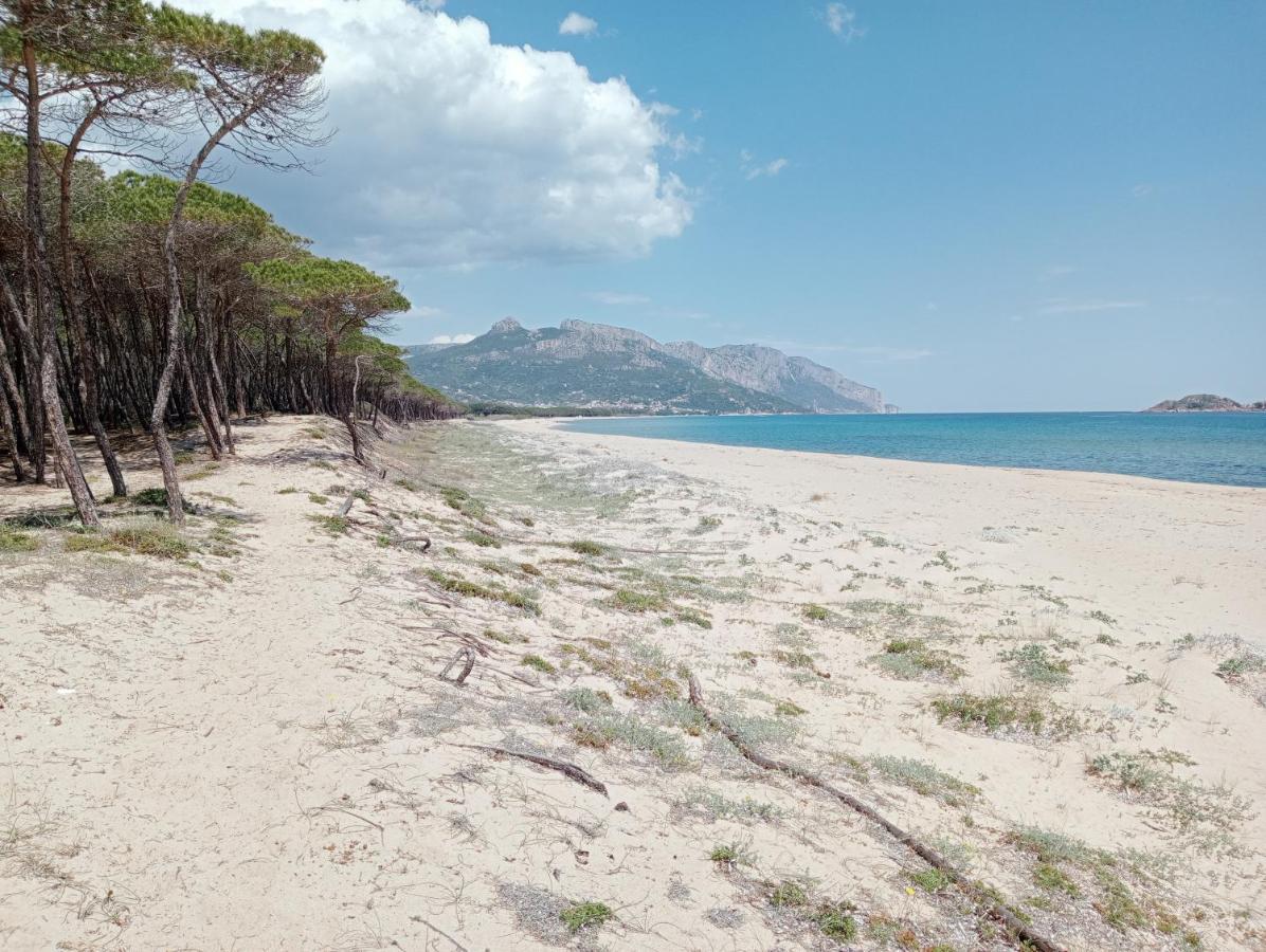 Locanda D'Ogliastra, Villa Triei Buitenkant foto