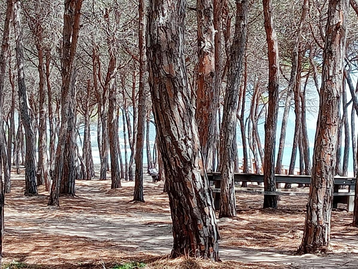 Locanda D'Ogliastra, Villa Triei Buitenkant foto