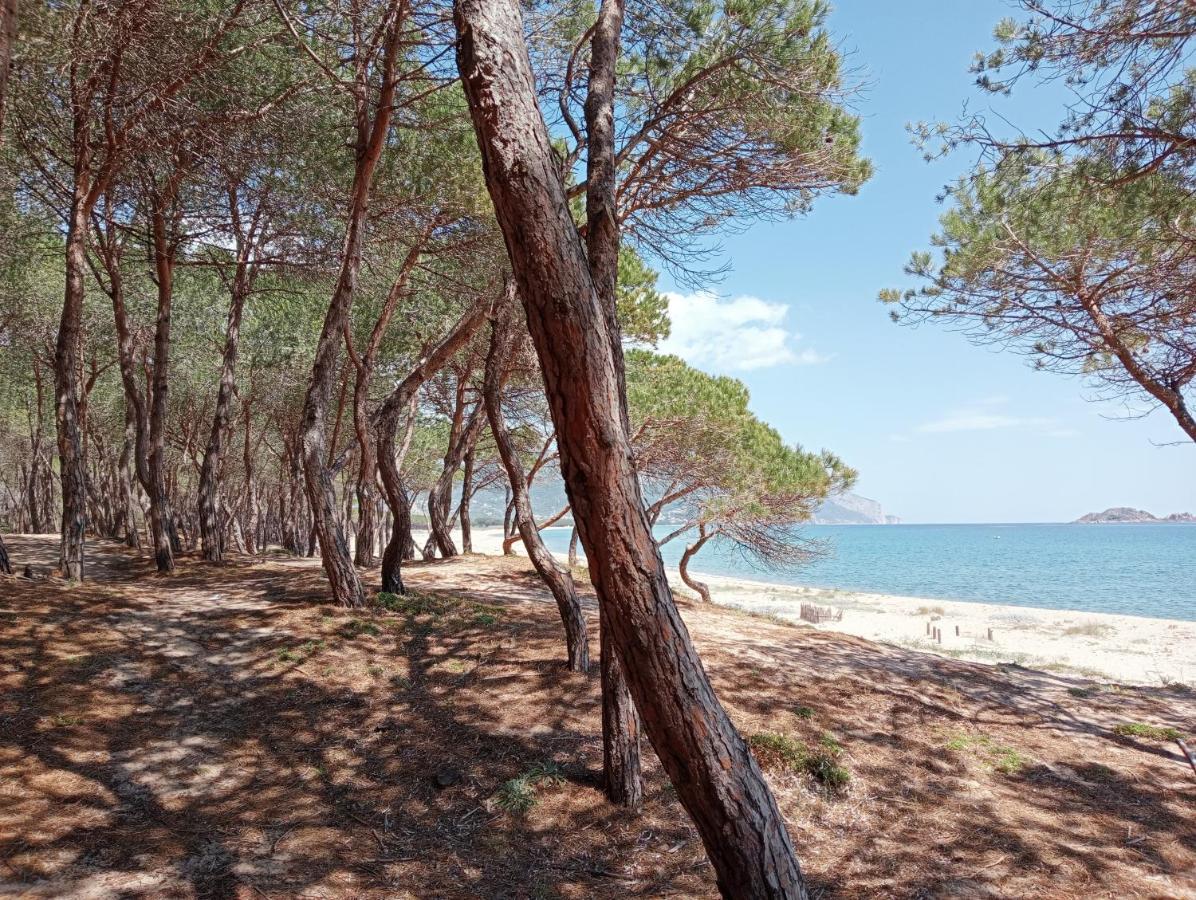 Locanda D'Ogliastra, Villa Triei Buitenkant foto