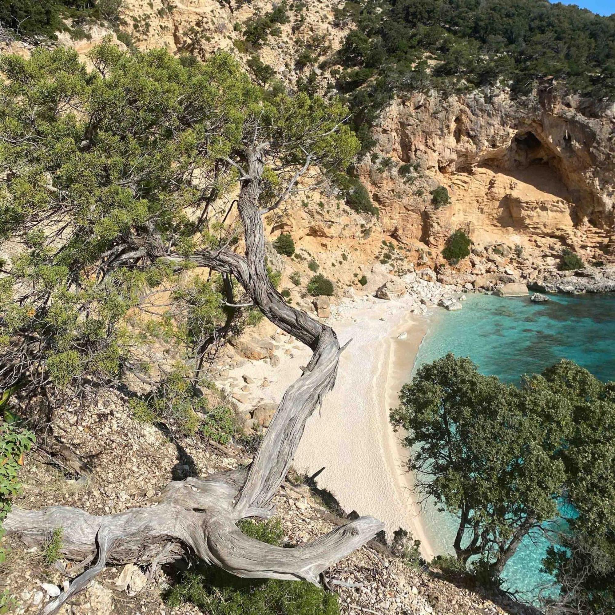Locanda D'Ogliastra, Triei Buitenkant foto