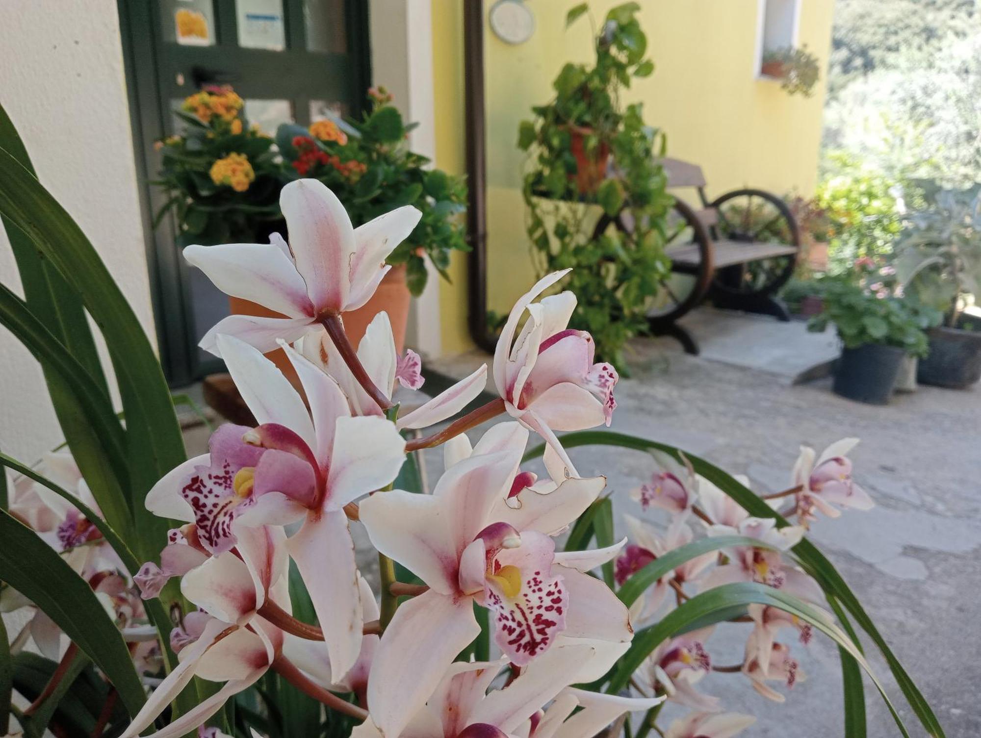 Locanda D'Ogliastra, Villa Triei Buitenkant foto